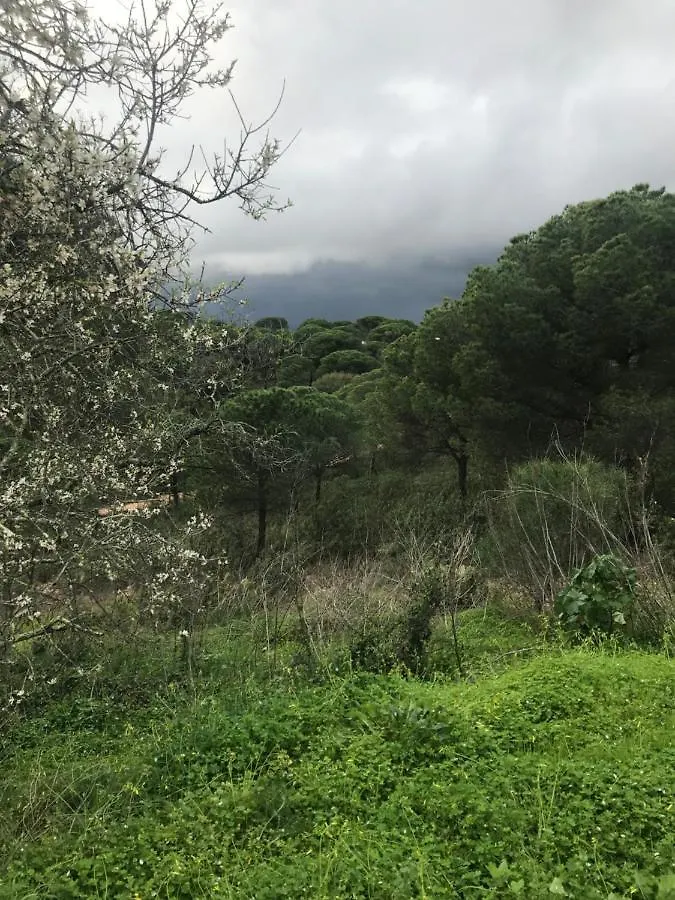 Finca Rustica Los Borrachos Ayamonte 0*,